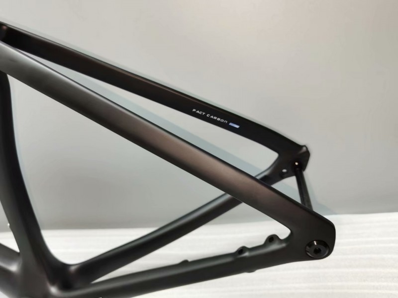 bare carbon bike frame