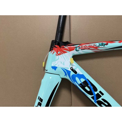 Bianchi XR4  Carbon Fiber Road Bicycle Frame-Canyon Aeroad 2021