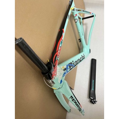 Bianchi XR4  Carbon Fiber Road Bicycle Frame-Canyon Aeroad 2021