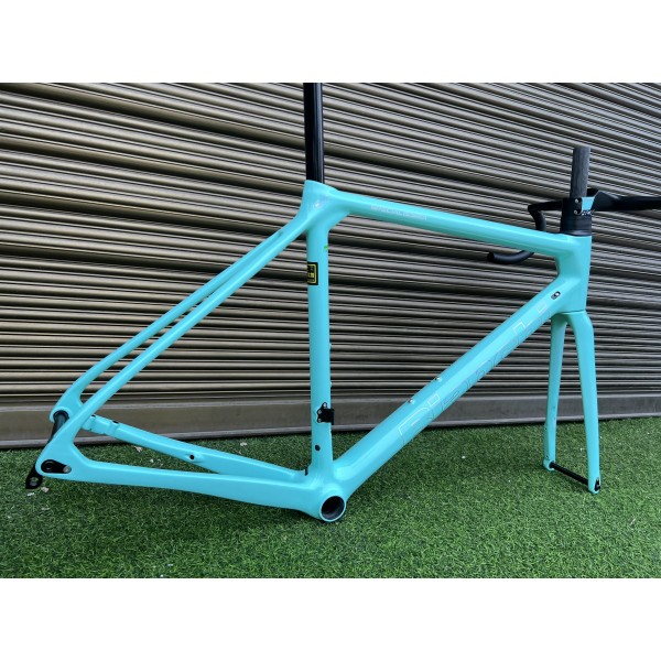 Bianchi Specialissima Carbon Fiber Road Bicycle Frame Blue - Bianchi Frame